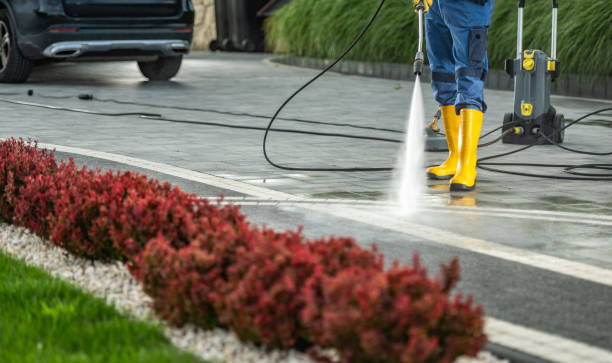 Best Factory Floor Cleaning  in Alexander, AR